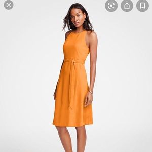 Ann Taylor Halter Flare- 0P